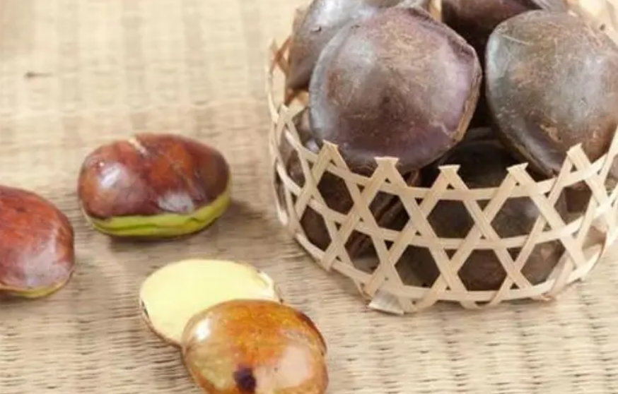 Cara Menghilangkan Bau Jengkol di Mulut